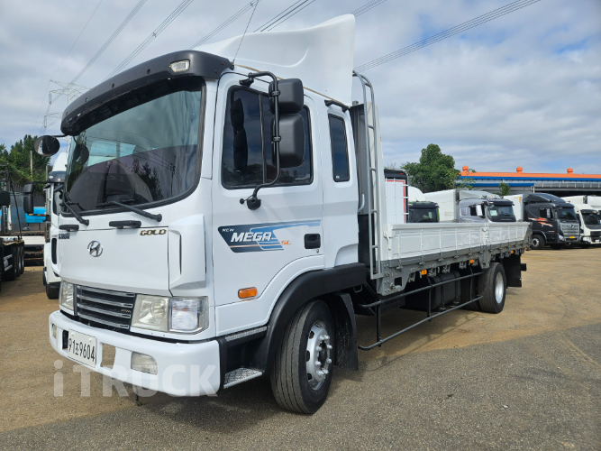 현대 메가트럭 250 단바리 카고 5톤 수동 0