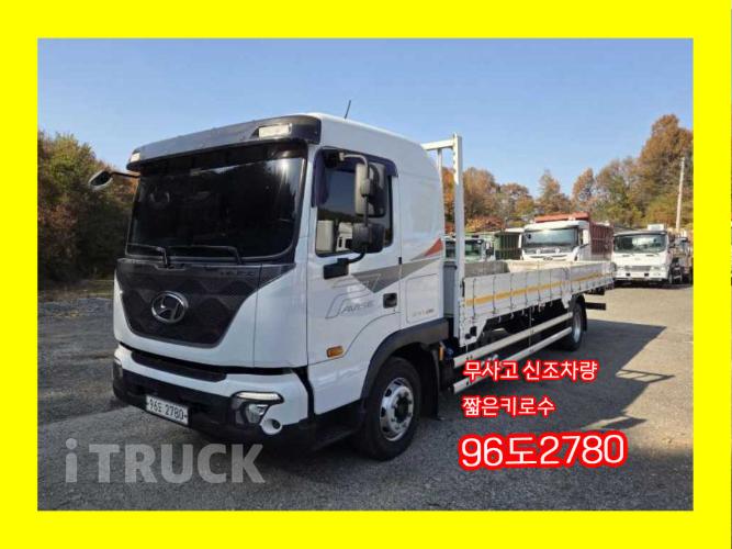 현대 파비스 300 단바리 카고 5.5톤 오토