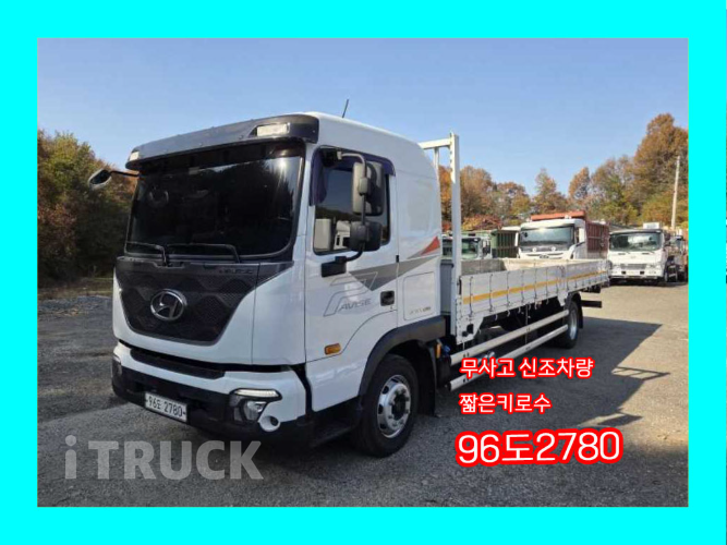 현대 파비스 300 단바리 카고 5.5톤 오토