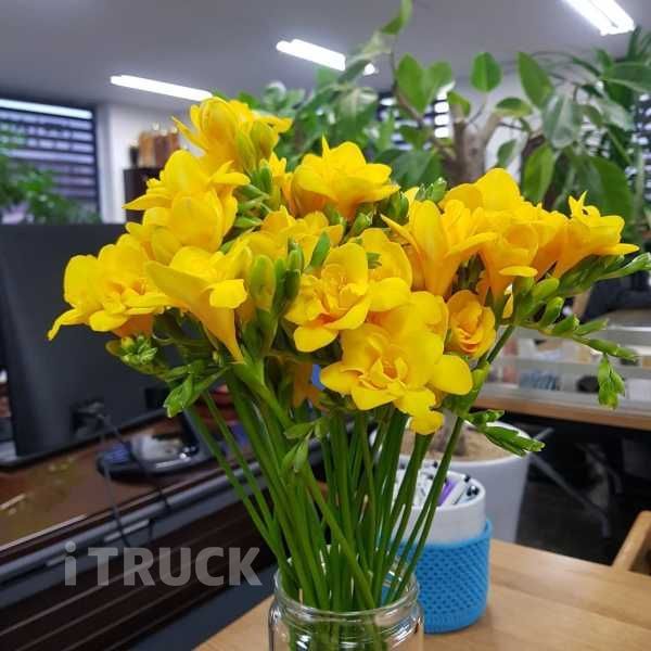 현대 메가트럭 260 앞축 카고 4.5톤 수동 4