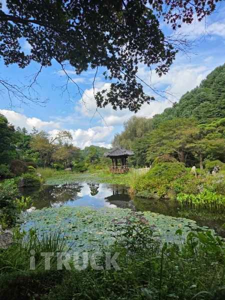 타타대우 프리마 260 후축 윙바디 4.5톤 수동 5