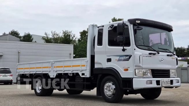 현대 메가트럭 250 단바리 카고 4.5톤 수동 2