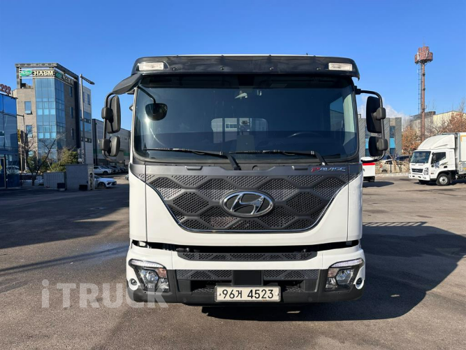 현대 파비스 300 단바리 카고 5.5톤 수동 2