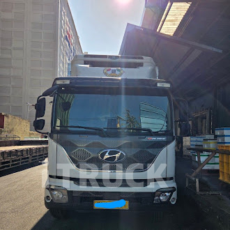 현대 파비스 325 후축 냉동윙 8.5톤 오토 - 중고 트럭 매물 이미지