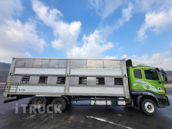 타타대우 돼지운반차 프리마 5.1톤 260 - 중고 트럭 매물 이미지