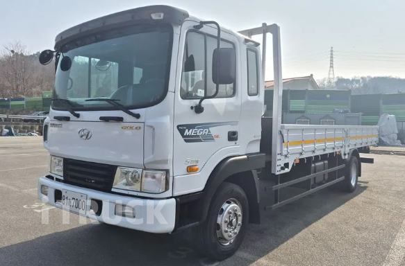 현대 메가트럭 250 단바리 카고 5톤 수동 - 중고 트럭 매물 이미지