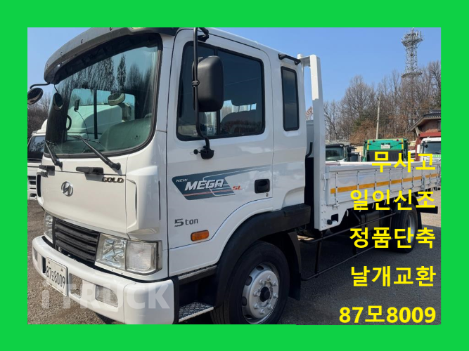 현대 메가트럭 260 단바리 카고 4.5톤 수동 - 중고 트럭 매물 이미지