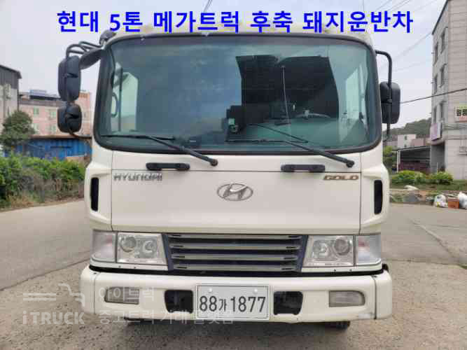 현대 돼지운반차 메가트럭 5톤 260