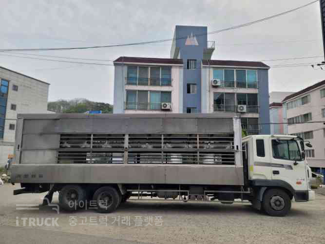 현대 돼지운반차 메가트럭 5톤 260